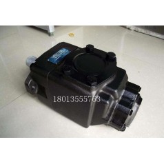 丹尼遜DENISON油泵型號(hào)T6DC-038-028-1R00-C100