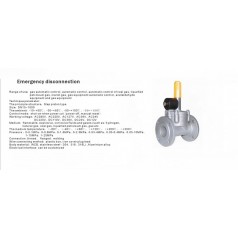 進(jìn)口低壓緊急切斷電磁閥（通電關(guān)閉、手動(dòng)打開）