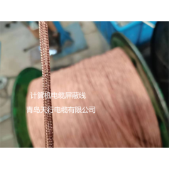 DJYVP、DJYPVP儀表信號(hào)計(jì)算機(jī)電纜生產(chǎn)廠家 天行品牌 生產(chǎn)定制