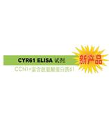 CYR61 是診斷 / 判斷乳腺癌惡化的腫瘤標志物。